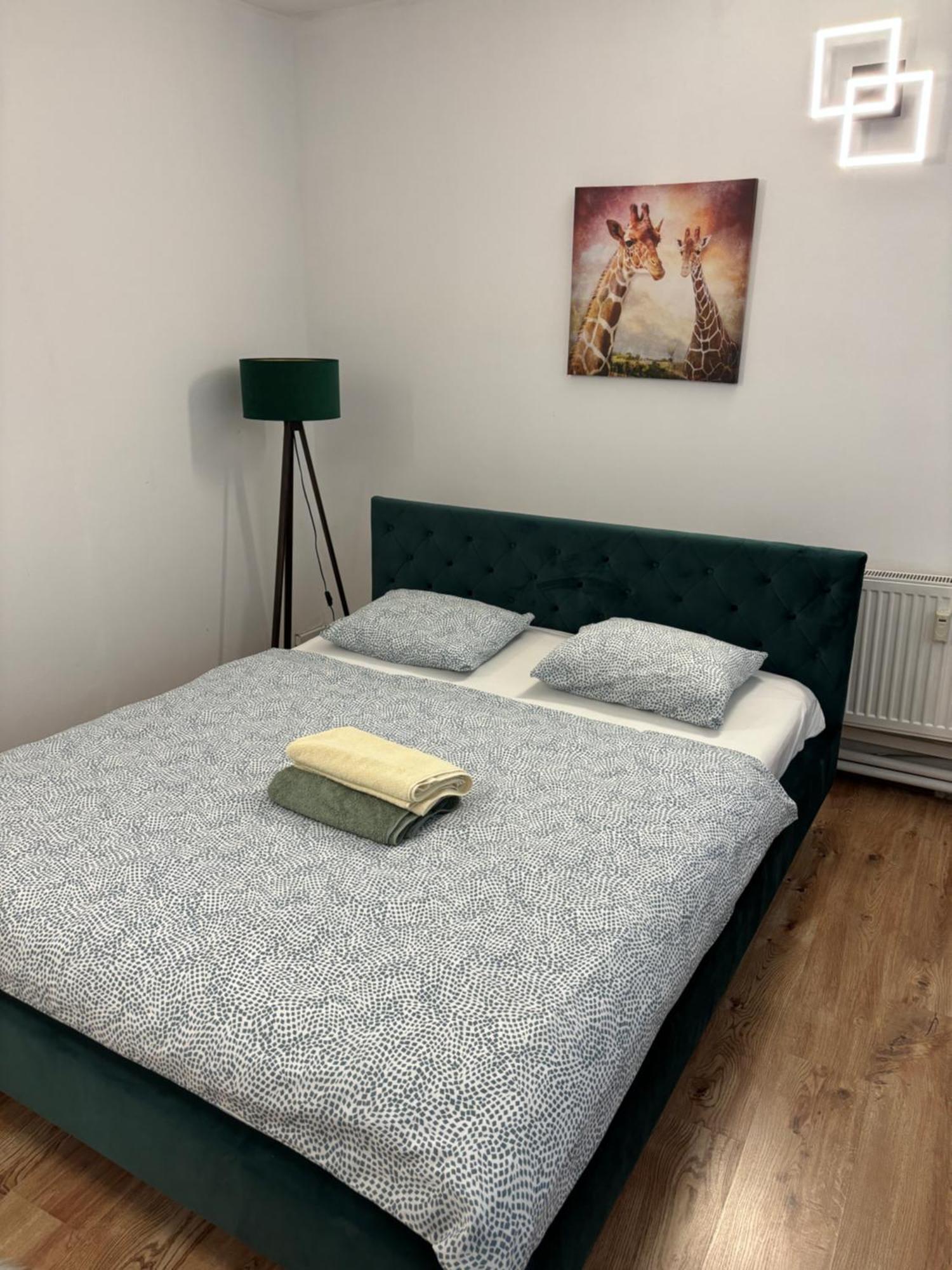 Central Apartment New Studio كَشّا المظهر الخارجي الصورة